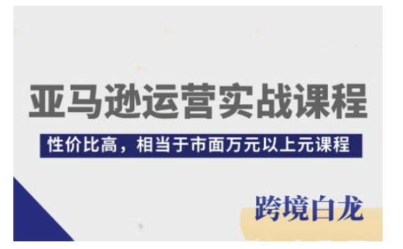 亚马逊运营实战课程,亚马逊从入门到精通,性价比高,相当于市面万元以上元课程-康仁安网创