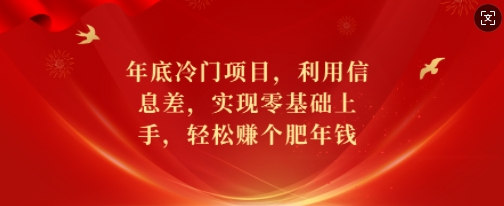 年底冷门项目，利用信息差，实现零基础上手，轻松赚个肥年钱【揭秘】-康仁安网创