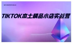 TikTok本土精品小店出海实战营,从入门到高阶,不止0-1!-康仁安网创