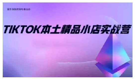 TikTok本土精品小店出海实战营,从入门到高阶,不止0-1!-康仁安网创