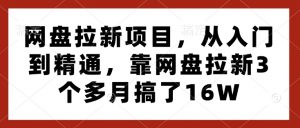 网盘拉新项目，从入门到精通，靠网盘拉新3个多月搞了16W-康仁安网创