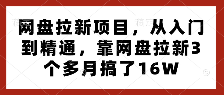 网盘拉新项目,从入门到精通,靠网盘拉新3个多月搞了16W-康仁安网创