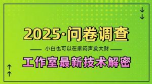 2025问卷调查最新工作室技术解密:一个人在家也可以闷声发大财,小白一天2张,可矩阵放大【揭秘】-康仁安网创