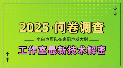 2025问卷调查最新工作室技术解密：一个人在家也可以闷声发大财，小白一天2张，可矩阵放大【揭秘】-康仁安网创