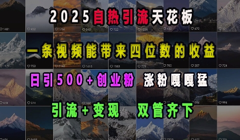 2025自热引流天花板,一条视频能带来四位数的收益,引流+变现双管齐下,日引500+创业粉,涨粉嘎嘎猛-康仁安网创