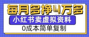 小红书虚拟资料项目,0成本简单复制,每个月多挣1W【揭秘】-康仁安网创