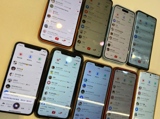 首发揭秘小红书私域日引500+创业粉四大模板,月入过W+全程干货!没有废话!保姆教程!-康仁安网创