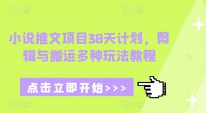 小说推文项目38天计划,剪辑与搬运多种玩法教程-康仁安网创