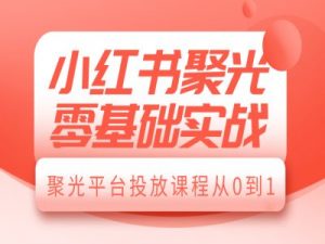 小红书聚光零基础实战,聚光平台投放课程从0到1-康仁安网创