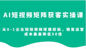 AI短视频矩阵获客实操课,从0-1企业短短视频搭建经验,销售运营成本最高降低50倍-康仁安网创