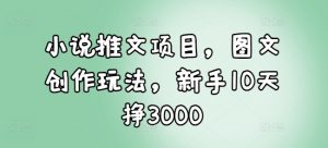 小说推文项目，图文创作玩法，新手10天挣3000-康仁安网创