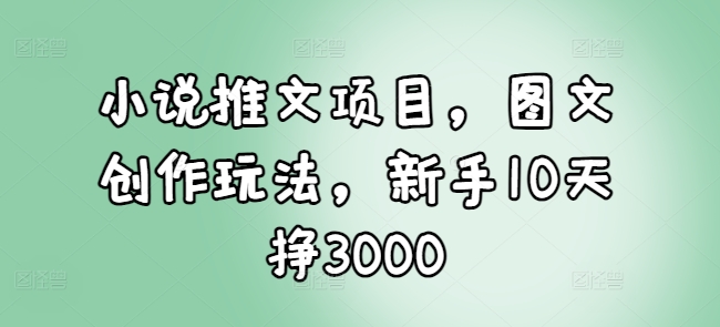 小说推文项目，图文创作玩法，新手10天挣3000-康仁安网创