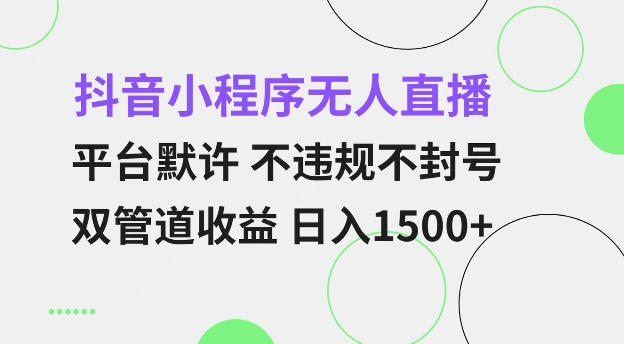抖音小程序无人直播 平台默许 不违规不封号 双管道收益 日入多张 小白也能轻松操作【仅揭秘】-康仁安网创