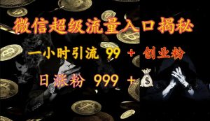 微信超级流量入口揭秘：一小时引流 99 + 创业粉，日涨粉 999 +-康仁安网创