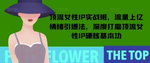 顶流女性IP实战班,流量上亿情绪引爆法,深度打磨顶流女性IP硬核基本功-康仁安网创