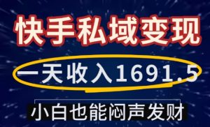 一天收入1691.5,快手私域变现,小白也能闷声发财-康仁安网创
