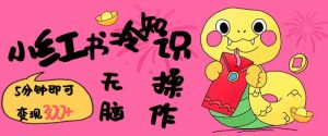 小红书冷知识账号，无脑复制粘贴，5分钟即可变现3张-康仁安网创