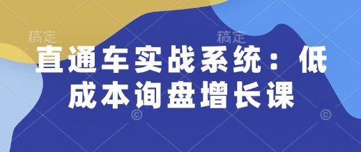 直通车实战系统:低成本询盘增长课,让个人通过技能实现升职加薪,让企业低成本获客,订单源源不断-康仁安网创