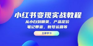 小红书变现实战教程:从小白到精英,产品定价,笔记带货,账号运营等-康仁安网创