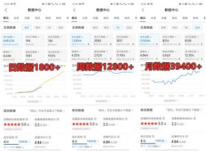 拼多多虚拟店铺项目，电脑挂机自动发货，单店日利润300+-康仁安网创