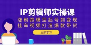 IP剪辑师实操课：涨粉跑模型起号到变现，挂车视频打造爆款带货-康仁安网创