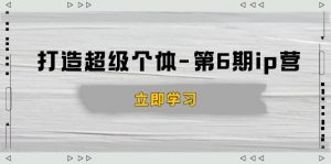 打造 超级个体-第6期ip营：商业认知,产品设计,成交演练,解决知识变现难题-康仁安网创