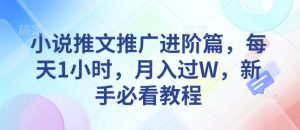 小说推文推广进阶篇,每天1小时,月入过W,新手必看教程-康仁安网创