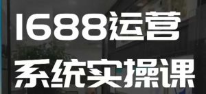 1688高阶运营系统实操课,快速掌握1688店铺运营的核心玩法-康仁安网创