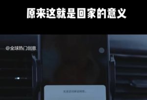 利用春节风口，制作热点视频，多种玩法类型，新手也能轻松变现！-康仁安网创