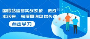 国际站运营实战系统：低成本获客，高质量询盘增长课-康仁安网创