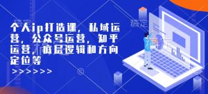 个人ip打造课,私域运营,公众号运营,知乎运营,底层逻辑和方向定位等-康仁安网创