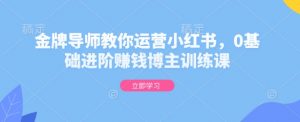 金牌导师教你运营小红书,0基础进阶赚钱博主训练课-康仁安网创