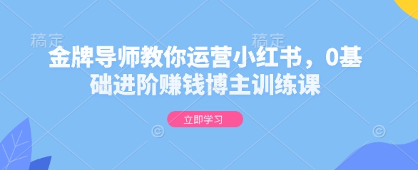 金牌导师教你运营小红书,0基础进阶赚钱博主训练课-康仁安网创