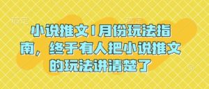 小说推文1月份玩法指南，终于有人把小说推文的玩法讲清楚了!-康仁安网创