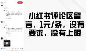 小红书评论区留言，1元条，没有要求，没有上限-康仁安网创