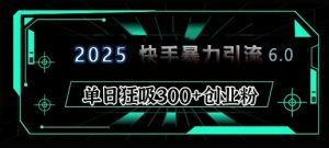 2025年快手6.0保姆级教程震撼来袭,单日狂吸300+精准创业粉-康仁安网创