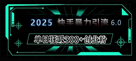 2025年快手6.0保姆级教程震撼来袭,单日狂吸300+精准创业粉-康仁安网创