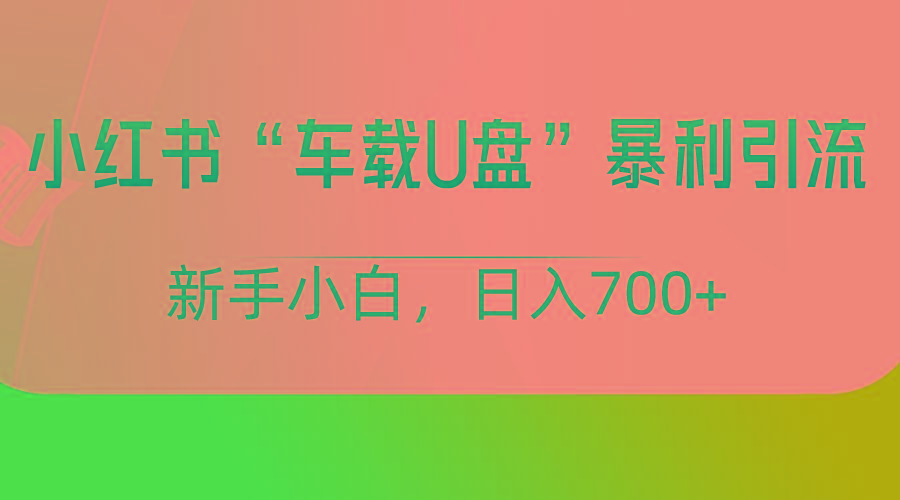 小红书“车载U盘”项目,暴利引流,新手小白轻松日入700+-康仁安网创