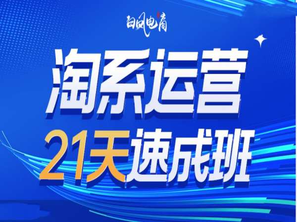 淘系运营21天速成班35期,年前最后一波和2025方向-康仁安网创