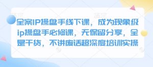 全案IP操盘手线下课,成为现象级ip操盘手必修课,无保留分享,全是干货,不讲废话超深度培训实操-康仁安网创