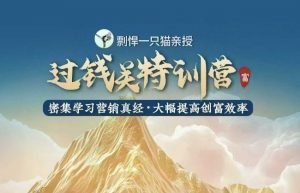 剽悍一只猫-过钱关特训营，学习营销真经 大幅度提高创富效率-康仁安网创