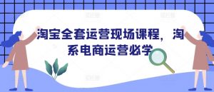 淘宝全套运营现场课程,淘系电商运营必学-康仁安网创