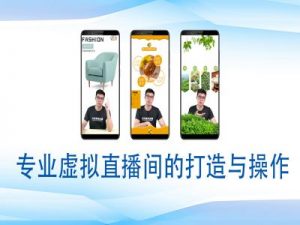 个人虚拟直播间的搭建与操作,专业虚拟直播间的打造与操作-康仁安网创