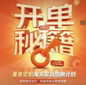淘宝开单秘籍PRO，量身定制淘天实战陪跑计划，告别做店迷茫、快速突破运营瓶颈期-康仁安网创