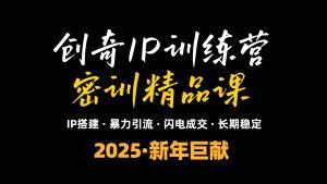 2025年“知识付费IP训练营”小白避坑年赚百万，暴力引流，闪电成交-康仁安网创