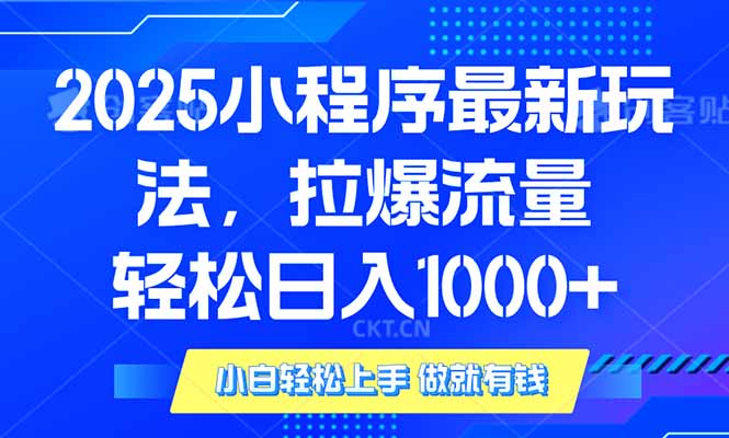 2025年小程序最新玩法，流量直接拉爆，单日稳定变现1000+-康仁安网创