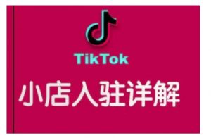 TikTok跨境小店运营全攻略，帮助你独立运营TK跨境小店的能力，实现销量增长-康仁安网创