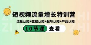 短视频流量增长特训营：流量认知+数据认知+起号认知+产品认知（10节课）-康仁安网创