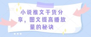 小说推文干货分享,图文提高播放量的秘诀-康仁安网创
