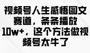 视频号人生感悟图文赛道，条条播放10w+，这个方法做视频号太牛了-康仁安网创
